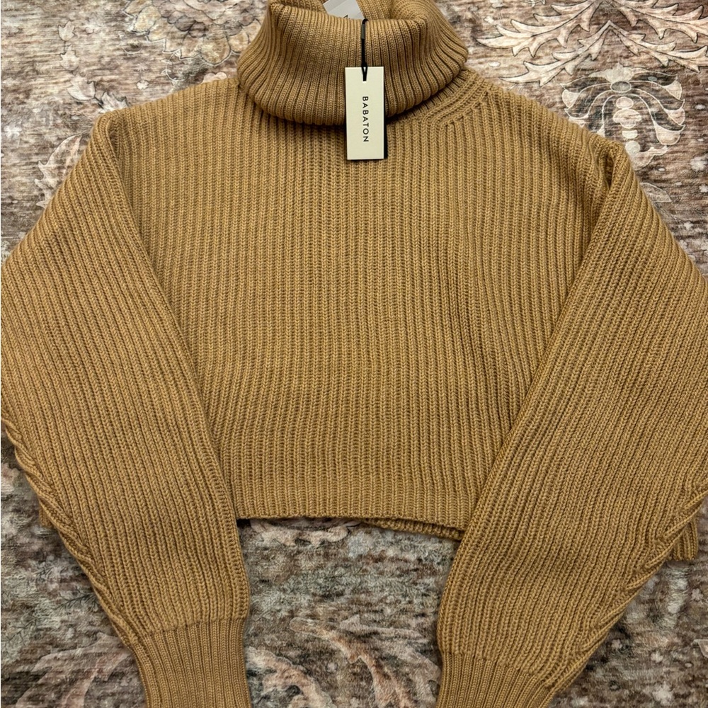 Aritzia Babaton Guell Turtleneck Sweater